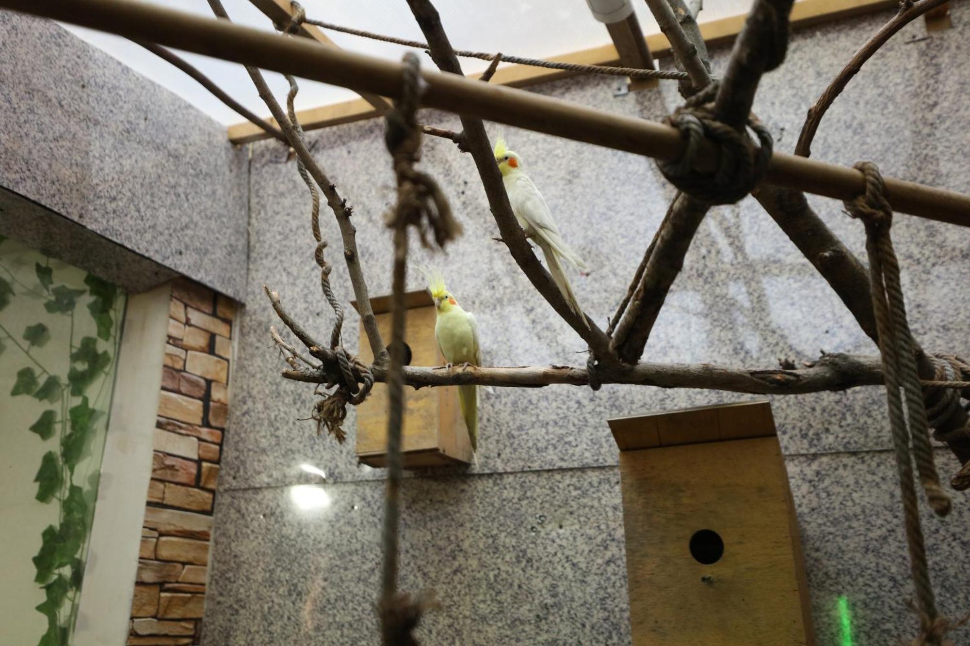 U Ashota Otel Erivan Dış mekan fotoğraf
